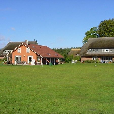Ferienwohnung Nr 07 Og Spitzboden Born Buitenkant foto